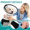Asheyya Dog Cone Collar, 13-18 in Recovery Collars for after