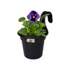 elho Green Basics Easy Hanger S 26 - Planter for