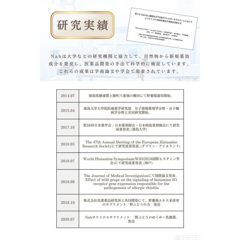 野ぶどうのめぐみ＋乳酸菌 サプリメント・30錠 【約1ヶ月分】 （野葡萄/Nab ）