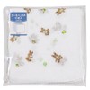 Gauze Handkerchiefs, Set of 10 (5 patterned, 5 plain)
