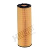 HENGST Filter Oil Filter E123H01 D624