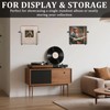 Modern Metal Vinyl Record Wall Mount Shelf (2 Pack), Matte