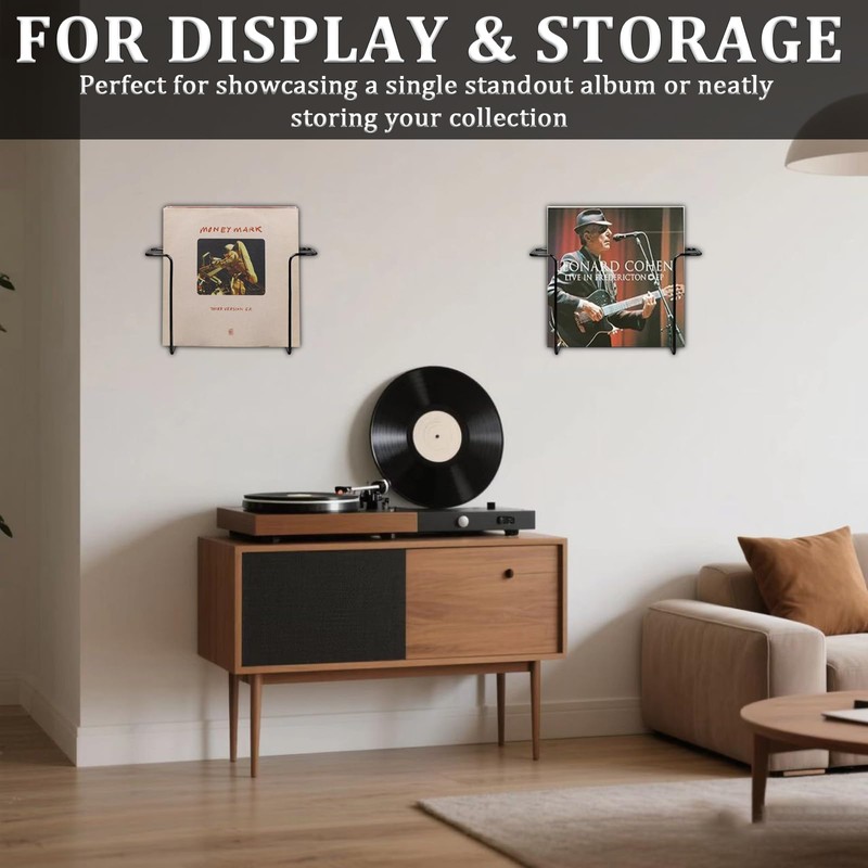 Modern Metal Vinyl Record Wall Mount Shelf (2 Pack), Matte