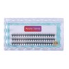 Asuta-Tania Self Eyelash Extension Cluster Eyelash Extension Fluffy Type (A01-10mm)