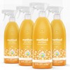 Method Antibacterial All-Purpose Cleaner Spray, Citron, Kills 99.9% of Household