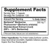 Feel Good Superfoods Berberine Phytosome High Absorption, 120 Vegan Capsules