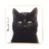 Black Cat Pet Coaster For Drinks, Coffee, Tea. 9.5 x