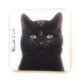 Black Cat Pet Coaster For Drinks, Coffee, Tea. 9.5 x 9.5 cm. Birthday Present, Christmas Stocking Filler, Cat Dad/Mum Gift, Cat Lovers.