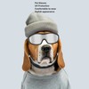 Dog Sunglasses Goggles UV Wind Dust Protection Pet Glasses Eye