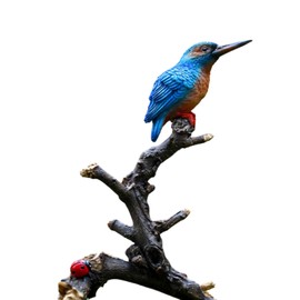 S.T.S.G Bird Figurine, Gardening, Realistic, Cute, Garden Object, Interior Decoration, Ornament, Gift, Decoration (Kingfisher)