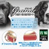 ペティオ (Petio) 首輪 グランデ ダブルステッチカラー レッド 大型犬用 L サイズ