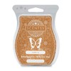 Scentsy Bar Scent of The Month - Saddle Up -