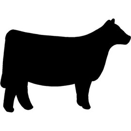 Just For Fun Black - 6 x 4.35 Angus Heifer Calf Farm Vinyl Die Cut Decal Bumper Sticker, Windows, Cars, Trucks, laptops, etc