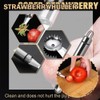 Stainless Steel Strawberry Huller and Tomato Stem Corer Tool,Portable Fruit