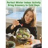 Terrarium Kit Adults - Includes Pumice, Moss, Soil, Pebbles, Charcoal,
