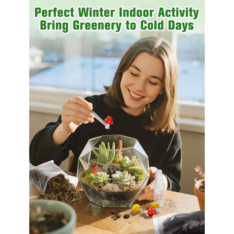Terrarium Kit Adults - Includes Pumice, Moss, Soil, Pebbles, Charcoal,