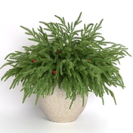 Waipfaru 30Pcs Artificial Christmas Norfolk Pine Stems (18") – Realistic Touch Branches for DIY Garland, Indoor & Outdoor Holiday Home Decor