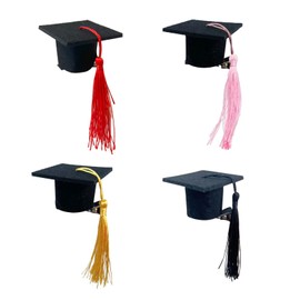 4PCS Mini Graduation Hair Clip for Women/Men/Pet,Graduation Party Supply Decoration,Graduation Hair Accessories