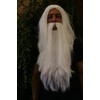 Party/Fancy Dress/Halloween LONG Beard & WIG set WHITE WIZARD SORCERER