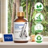 HIQILI Cinnamon Essential Oil for Spary, Diffuser, Garden and Kitchen