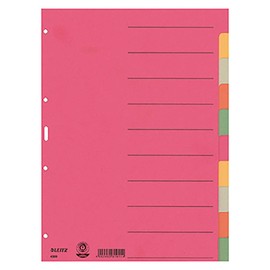 Esselte Leitz Cardboard Index Blank A4 Cardboard 10 Sheets Coloured