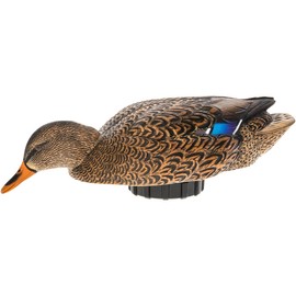 Avian-X Power Shaker Mallard Hen Surface Feeder Floating Duck Decoy - Durable Foam-Filled Realistic Lifelike Waterfowl Hunting Motion Decoy
