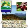 Coffee Raw Beans Caribbean Sky Dominica (Barahona Specialty AA) Galaxy