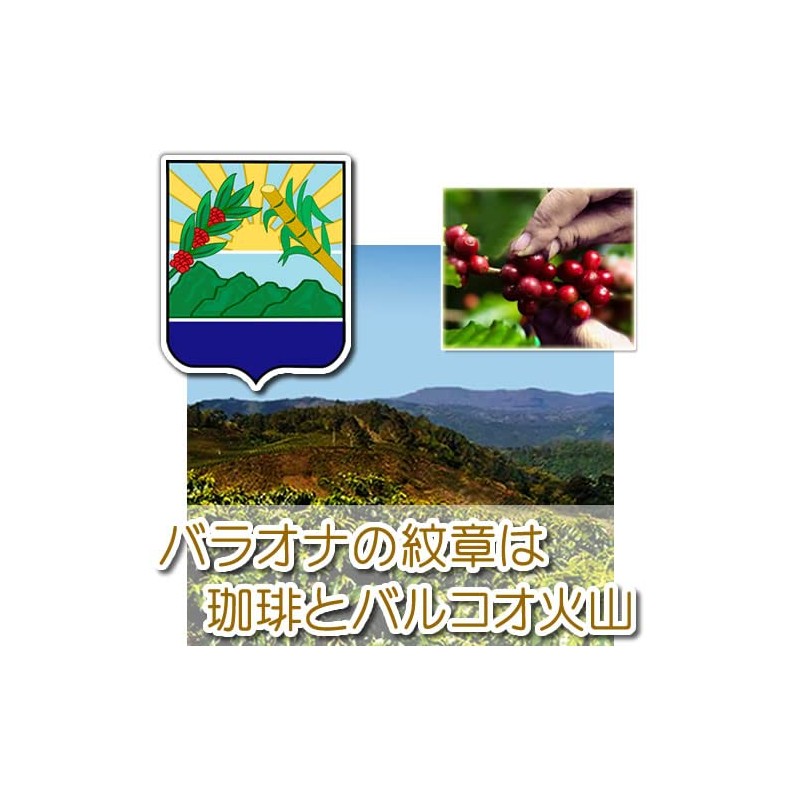 Coffee Raw Beans Caribbean Sky Dominica (Barahona Specialty AA) Galaxy