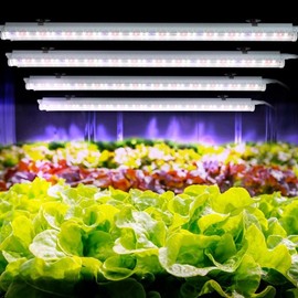 LED Plant Grow Light for Succulents and Flowers 4-piece Set (Warm White)