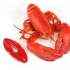 Nantucket Seafood 5994 Red Lobster Cracker, Aluminum