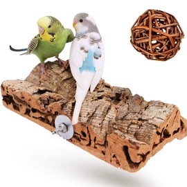 Vogelgaleria® Premium Cork Seat Board for Birds such as Budgies Cockatiel and Free Nibble Ball | A Cork Seat Board Should Be An Accessory in Any Species-Appropriately Equipped Cage | 20 x 10 cm Large