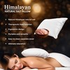 Generic Himalayan Natural Salt Therapy Pillow C 8x6 Inch with