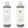 [Set] Aless Color Silver Shampoo 6.8 fl oz (200 ml)