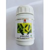 Generic DXN Spirulina 360 Tablets