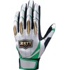 ZETT BG13011C Pro Status Batting Gloves Two-Handed Silver x Green