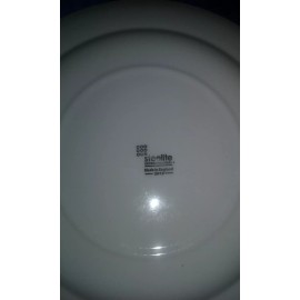 Steelite International Restaurant porcelain Spyro plates Steelite 9" New