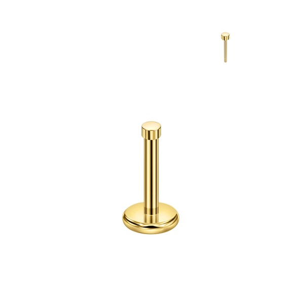 FANSING Nose Studs Flat Disc Nose Rings for Women Men