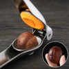 Trend Queen of Chestnuts Chestnut Cutting Roasted Chestnuts Boiled Steamed