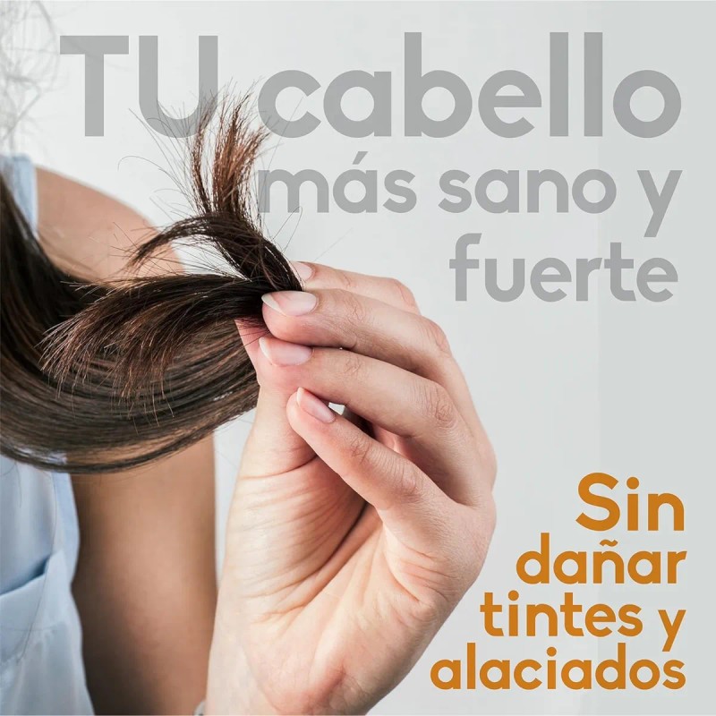 Shampoo De Romero Shampoo Anticaída De Sabila Y Jojoba
