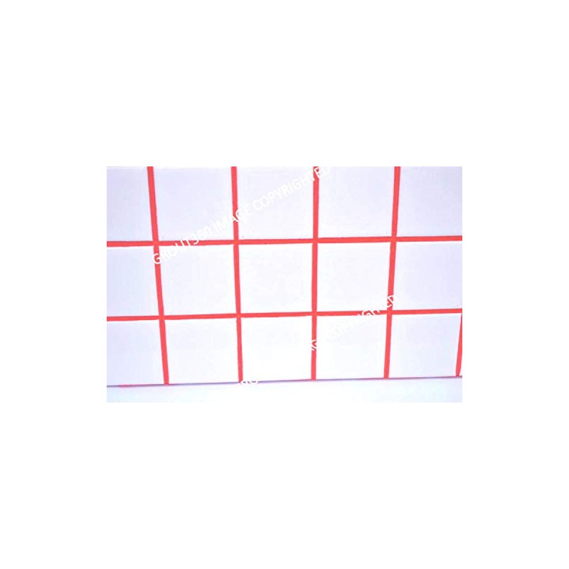 Grout 360 Ragin' Red Sanded Tile Grout for Tile Installation