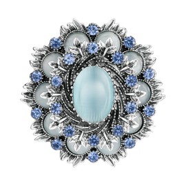 SELOVO Jewelry Victorian Style Oval Brooch Pin for Women Jewelry, rhinestone resin, rhinestone