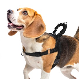 PUPTECK No Pull Dog Harness Medium Sized Dog, Adjustable Reflective Pet Vest Harness with Bungee Handle, Escape Proof No Choke Harness for Medium Dogs Walking Training, Black M