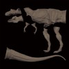 Tyrannosaurus Type B Middle Soft Vinyl Kit Reprint 1/35 Scale