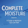 Blistex Complete Moisture Lip Balm Lip Moisturizer Hydration 0.15 oz