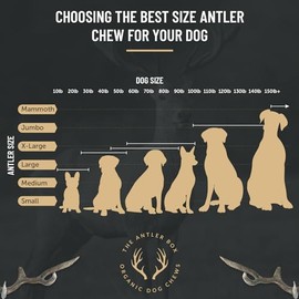 The Antler Box Premium - Masticables para perros (1 libra) Paquete a granel) Juguetes de larga duración orgánicos para masticar procedentes de cuernos