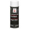 design master Colortool Floral Spray Paint 12oz Flat Black Y