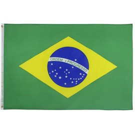 REIDFERR Brazil Flag 3x5 Ft Outdoor - Vivid Color Fade Proof Polyester Brazilian National Flags with 2 Brass Grommets (Brazil Flag)