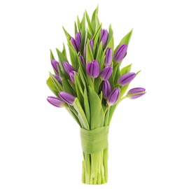KaBloom Flowers - Valentine Collection - Bouquet of 20 Purple Tulips Farm-Fresh From Holland without vase. Gift for Birthday, Thank You, Valentine, Mother’s Day Fresh Flowers