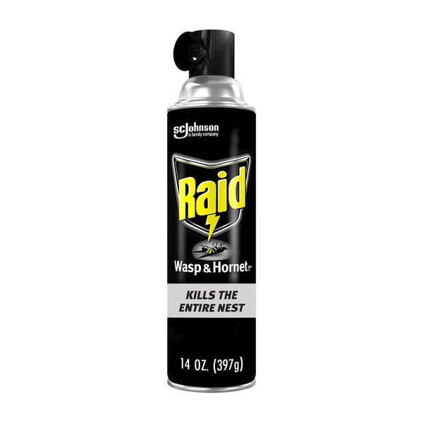 Raid Wasp and Hornet Killer Spray, Kills the entire nest, Kills Paper Wasps, Yellow Jackets, Mud Daubers and more, 14 oz