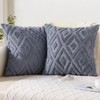 Pallene Soft Faux Fur Throw Pillow Covers 18x18 Set of